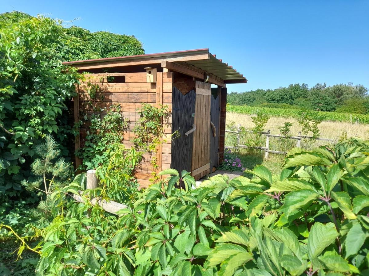Le Clos De Epinettes Angé Exteriér fotografie